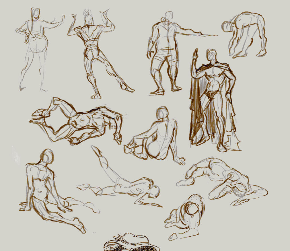 studies