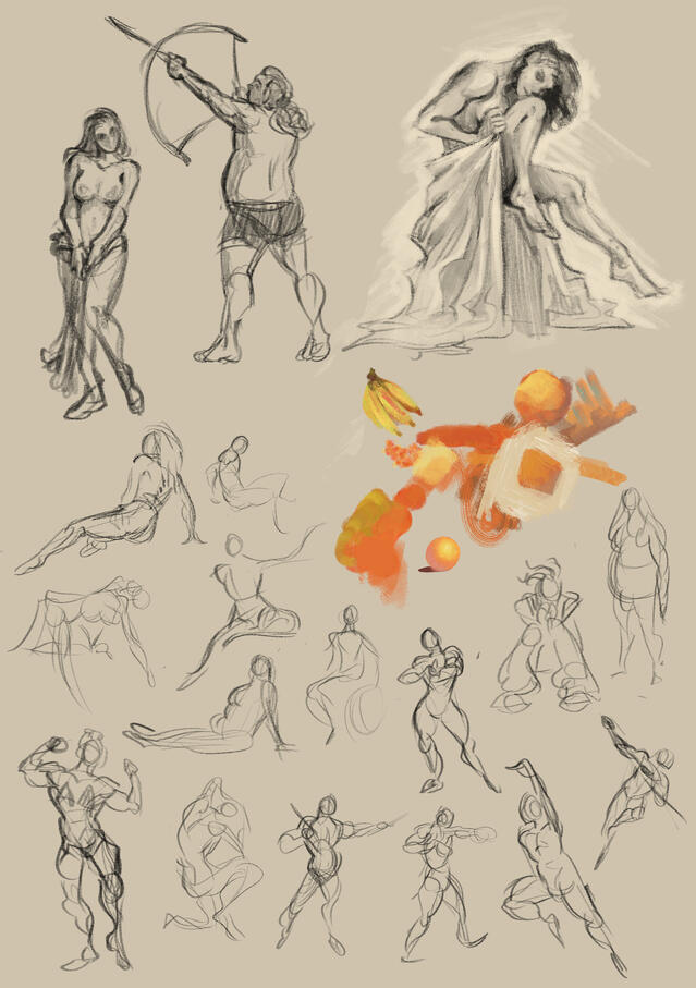 studies